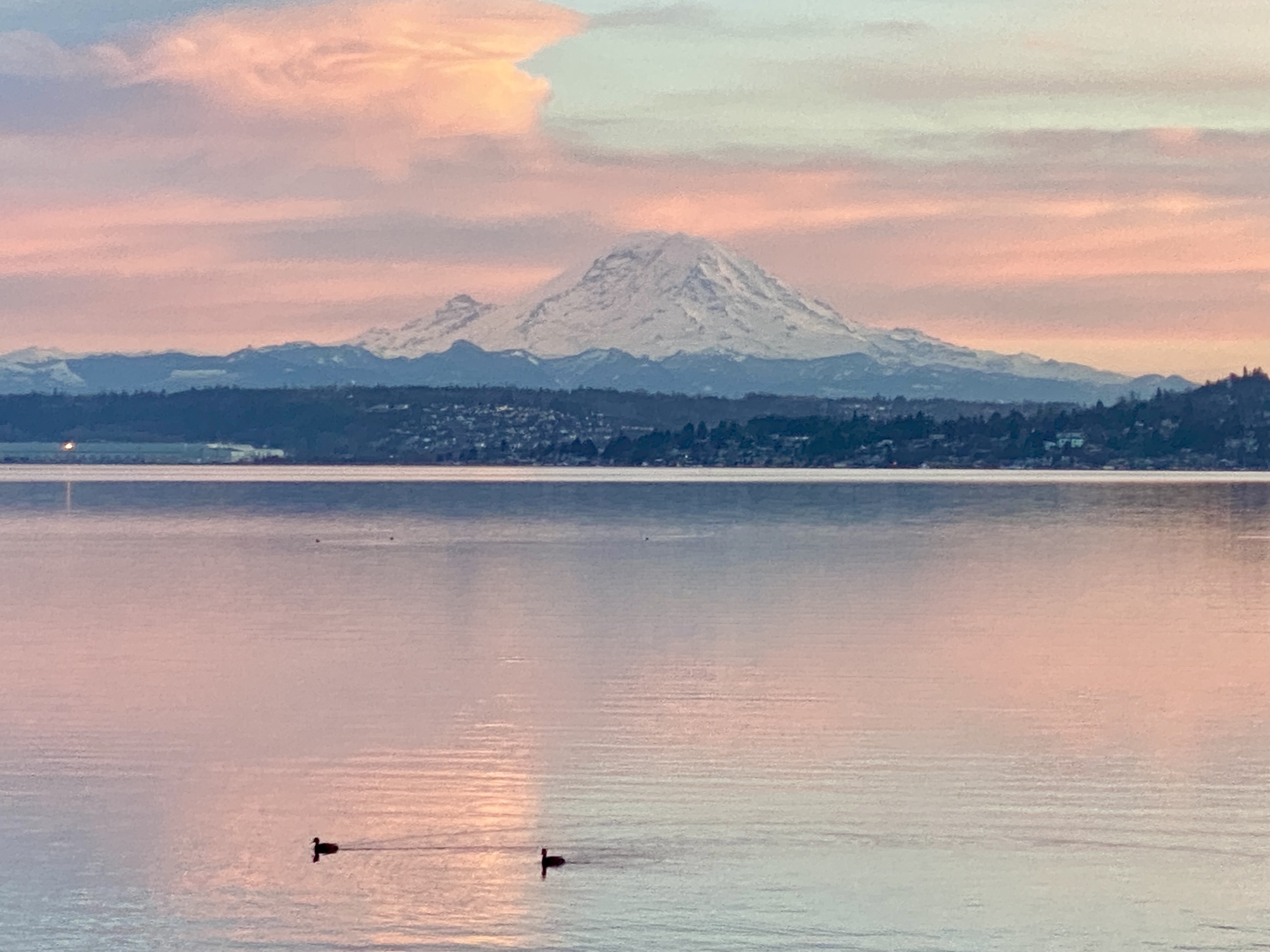 Sunset looking at Mt. Rainier